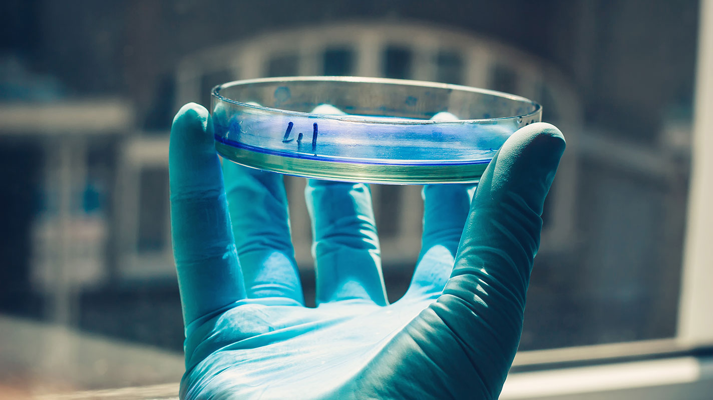 Best Practices for Starting a Cannabis Testing Laboratory