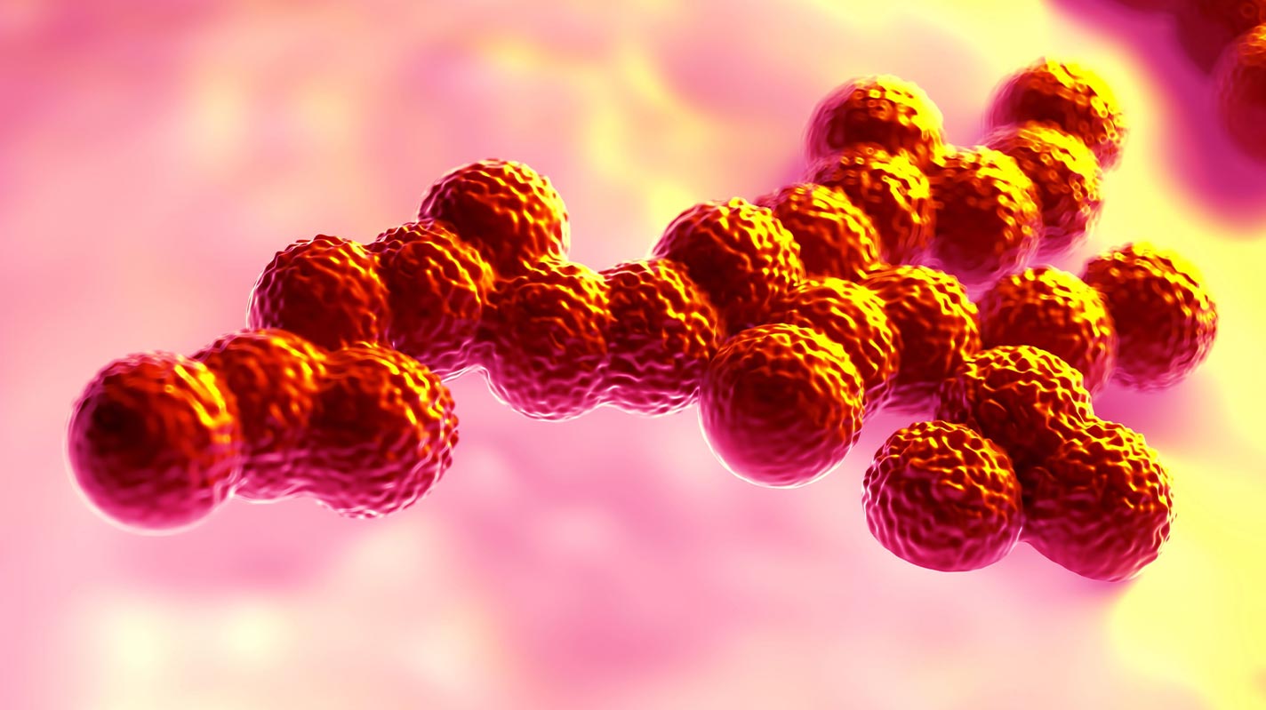 Staphylococcal Enterotoxin Testing for Cannabis